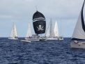 You better stay out of the way of Privilege 495 'Mojomo' (GBR), the unofficial ARC pirate